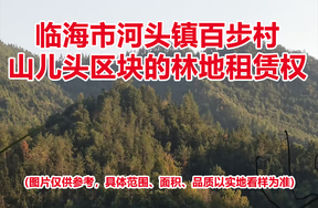 临海市河头镇百步村山儿头区块的林地租赁权